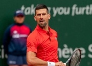 德约科维奇迎来十五赛季出色发挥，利物浦观众热烈欢呼！气势如虹延续的简单介绍