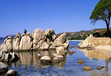 青岛中能逆转局势，赢得一场激动人心的比赛的简单介绍